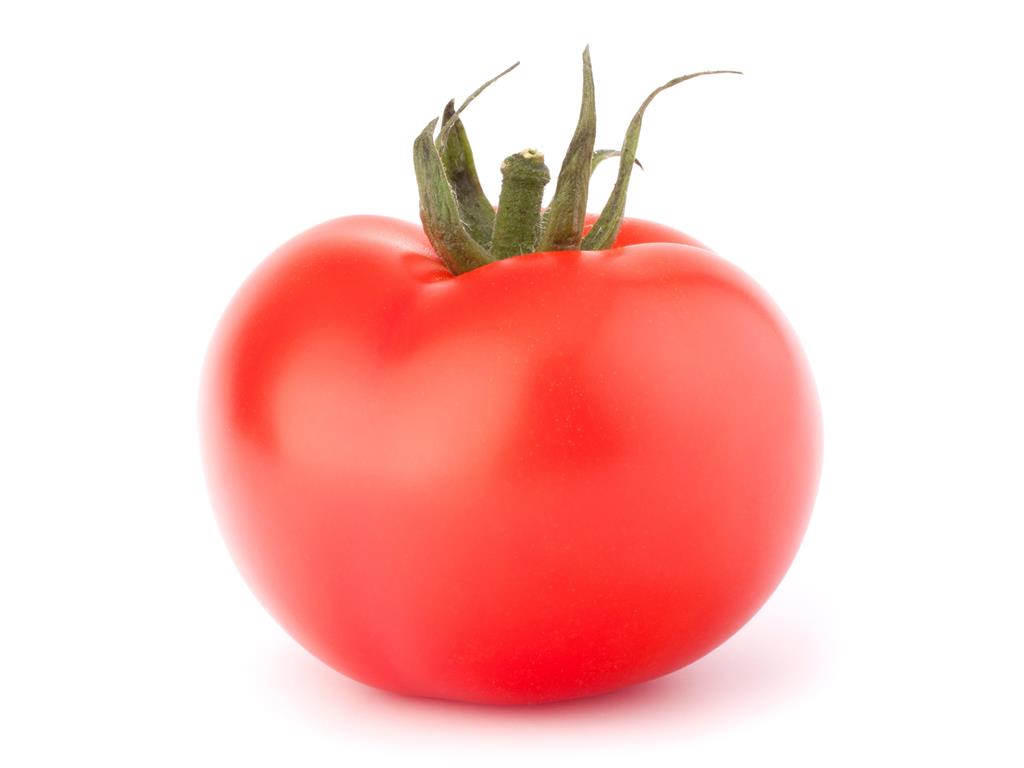 Portada tomate Tomato Maraton WIS